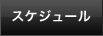 スケジュール