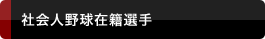 社会人野球在籍選手