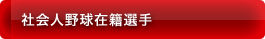 社会人野球在籍選手