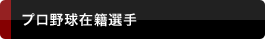 プロ野球在籍選手