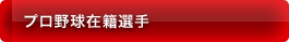 プロ野球在籍選手