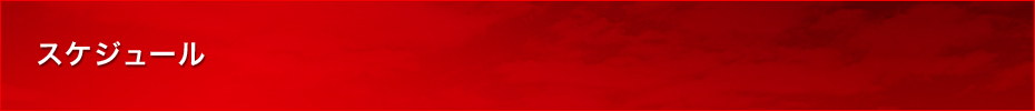 スケジュール