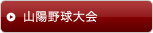 山陽野球大会