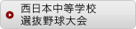 西日本中等学校選抜野球大会