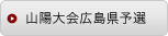 山陽大会広島県予選