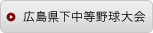 広島県下中等野球大会