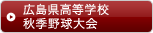 広島県高等学校秋季野球大会