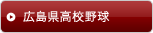 広島県高校野球