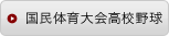 国民体育大会高校野球