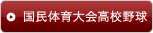 国民体育大会高校野球
